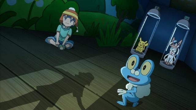 Pokémon 17x13