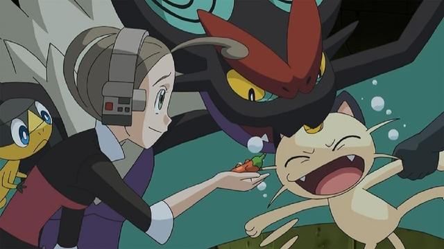 Pokémon 16x40