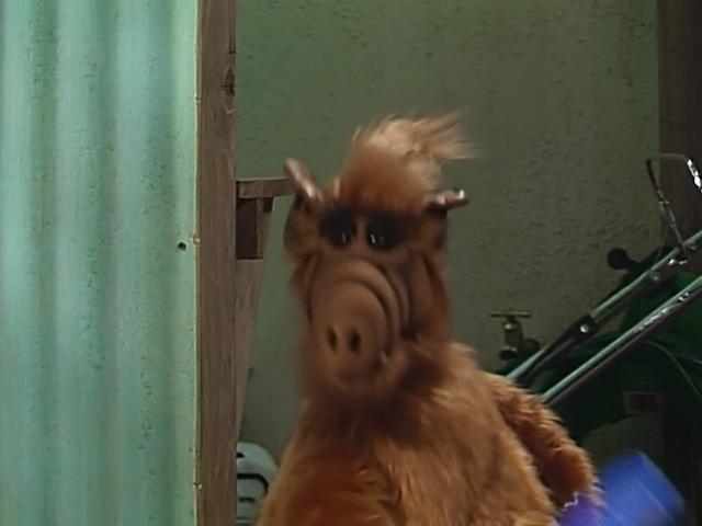 ALF 2x15