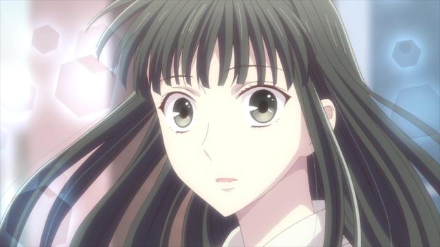Fruits Basket 2x24