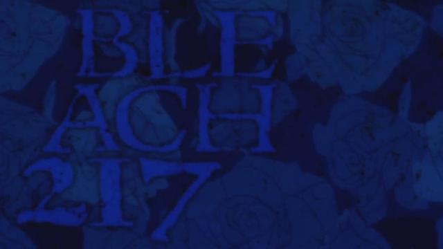 Bleach 1x217