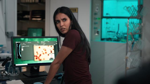 Manifiesto 4x13