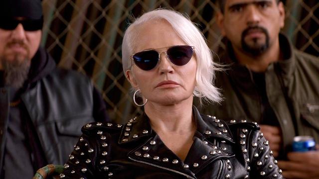 Animal Kingdom 4x1