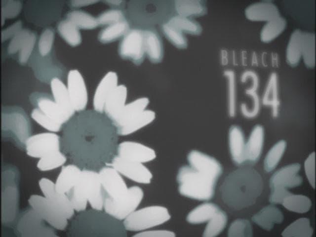 Bleach 1x134