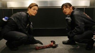 Bones 4x6