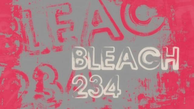 Bleach 1x234