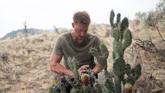 Tracker: Buscador de recompensas 3x4