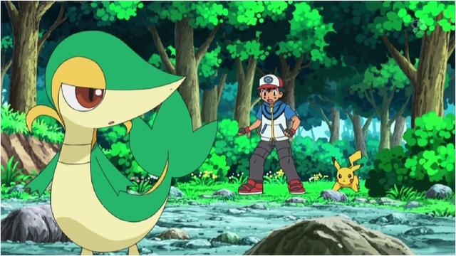 Pokémon 14x7