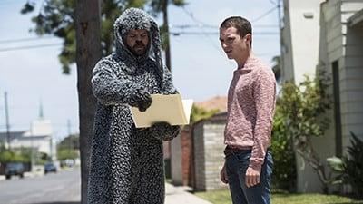 Wilfred 3x7