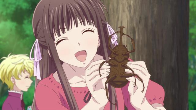 Fruits Basket 2x6