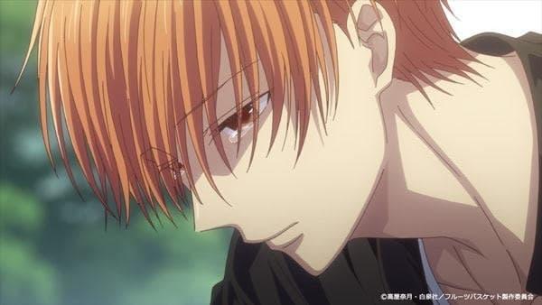 Fruits Basket 3x9