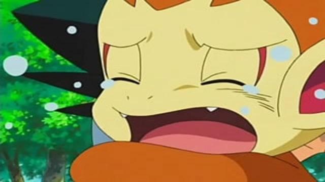 Pokémon 11x1
