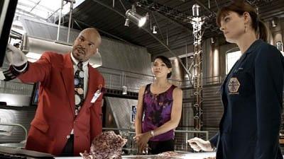 Bones 6x4