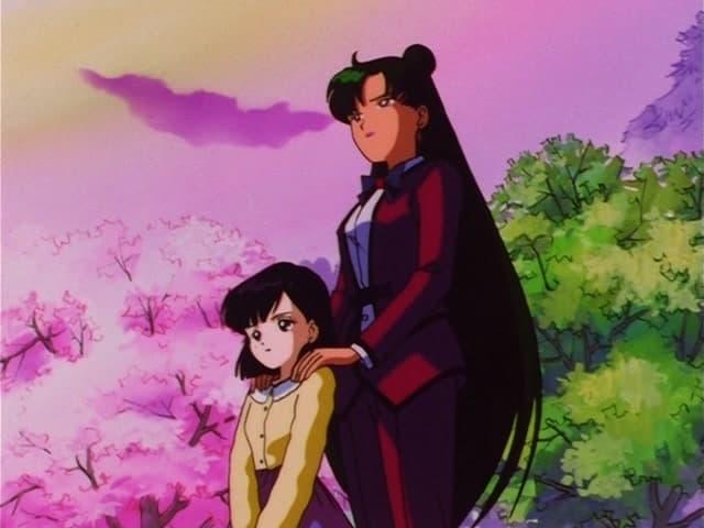 Sailor Moon 5x3