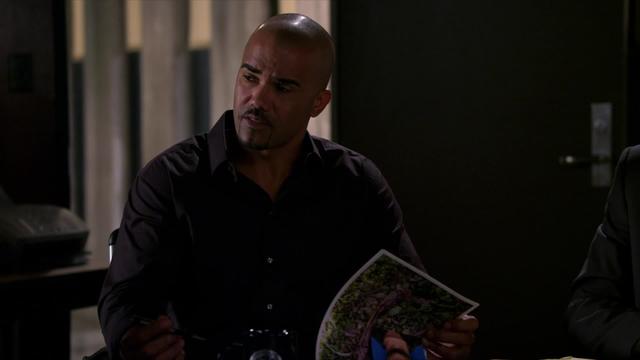 Mentes Criminales 8x20