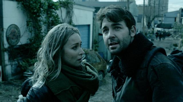 Zoo 3x1