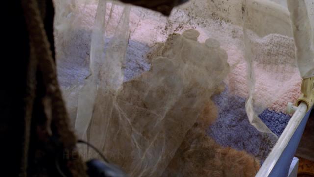 Lost 6x8