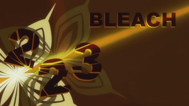Bleach 1x223