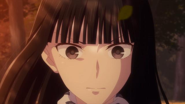 Fruits Basket 3x1