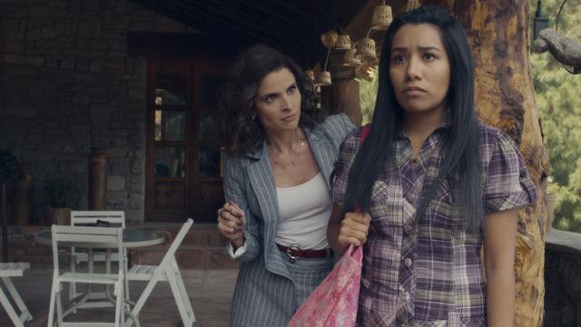 Madre de alquiler 1x1