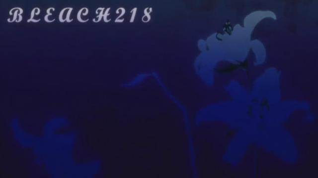 Bleach 1x218