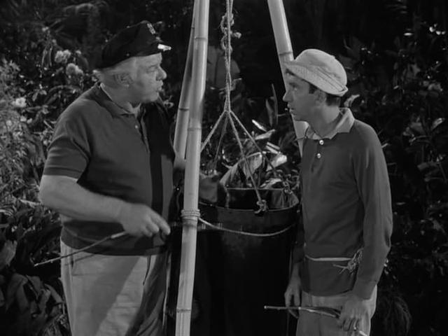 La isla de Gilligan 1x14