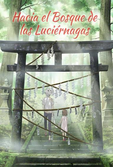 Hacia el Bosque de las Luciérnagas