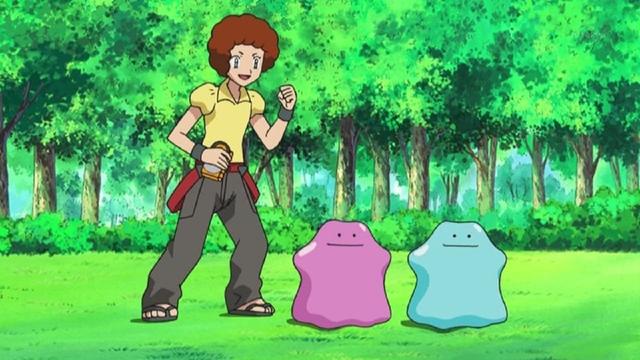 Pokémon 13x16