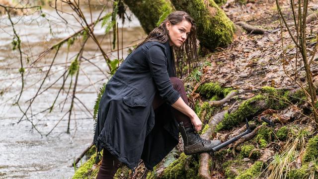 Van Helsing 2x4