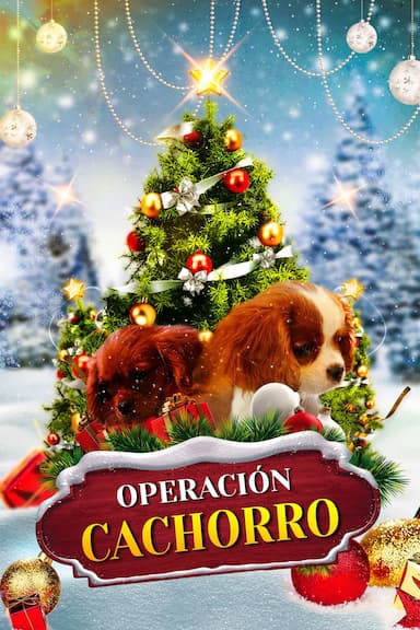 Operación Cachorro