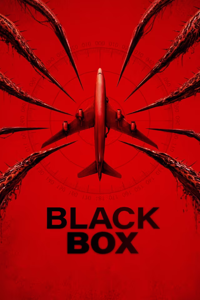 Black Box (Flight 298)