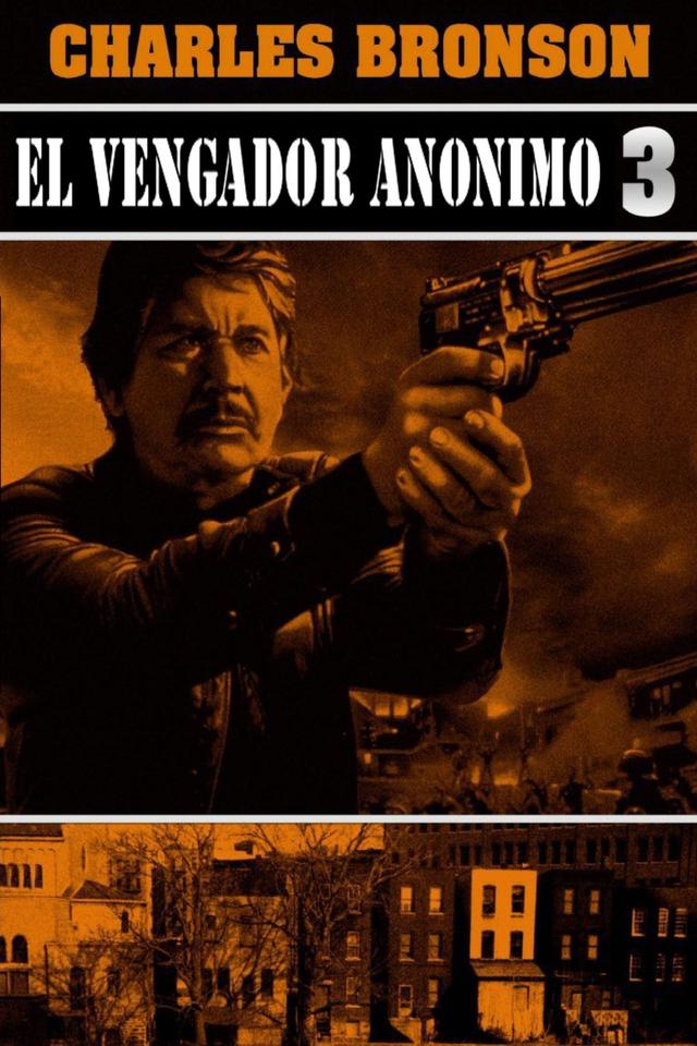 El Vengador Anónimo 3