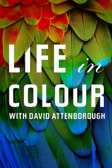 La vida a color con David Attenborough